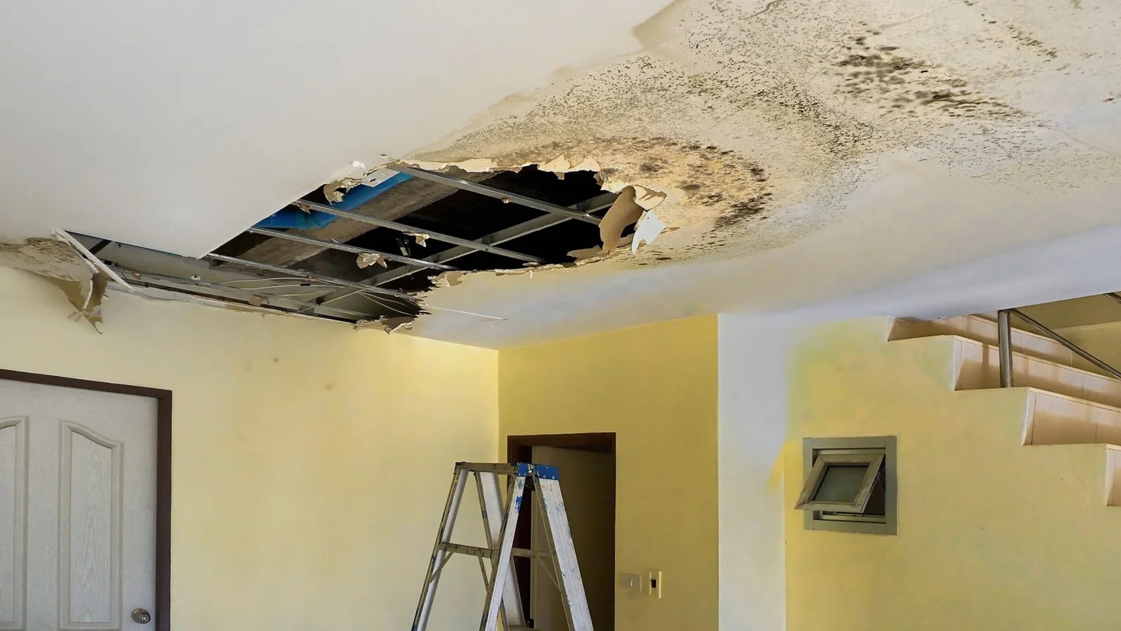 Trusted Water Damage Cleanup Services in Winchester, NV