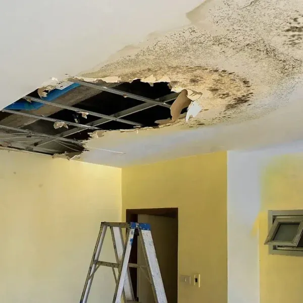 Trusted Water Damage Cleanup Services in Winchester, NV