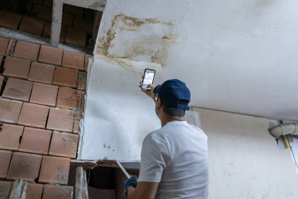 Best Insurance Restoration Services in Spring Valley, NV 