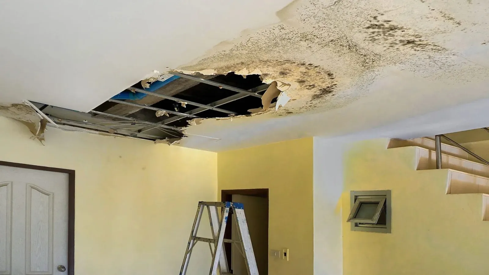 flood and fire recovery services