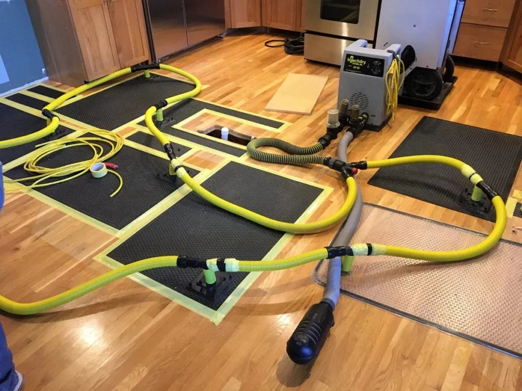 structural damage repair experts
