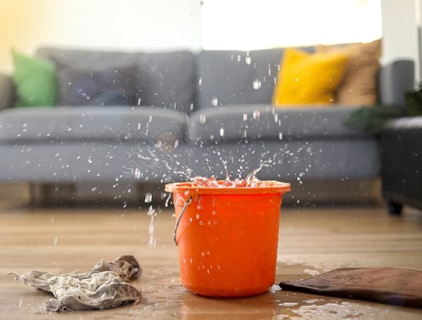 Water Restoration Services in Winchester, NV