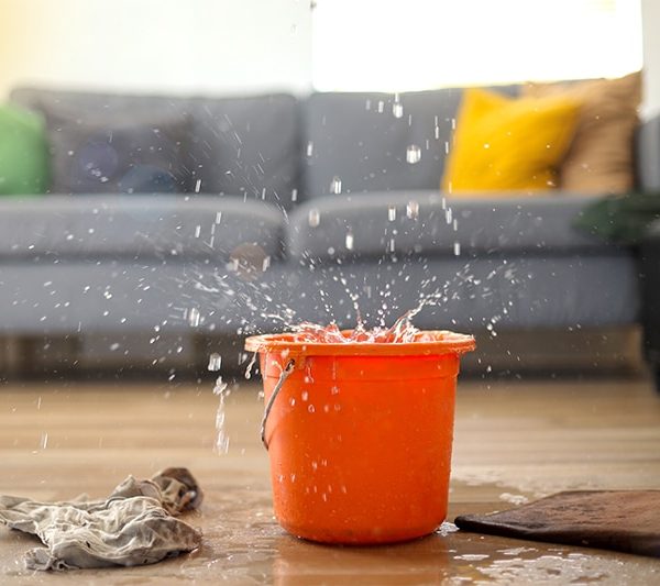 Water Restoration Services in Winchester, NV