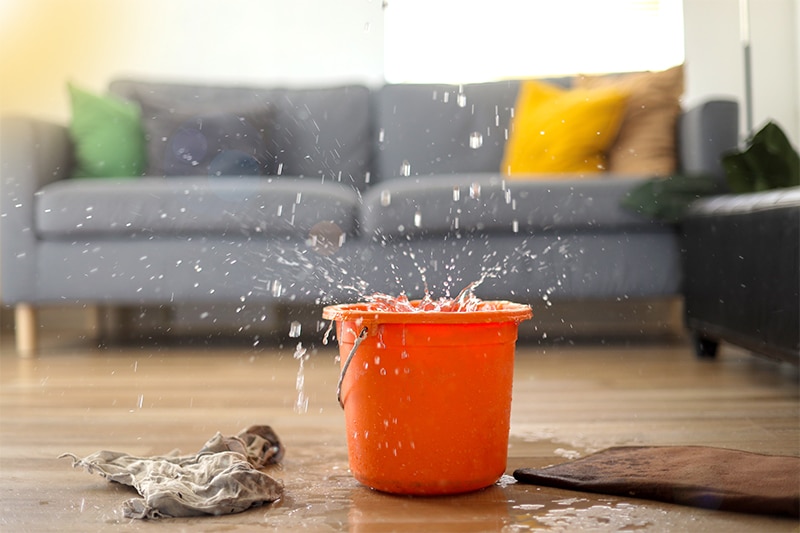 Water Restoration Services in Winchester, NV